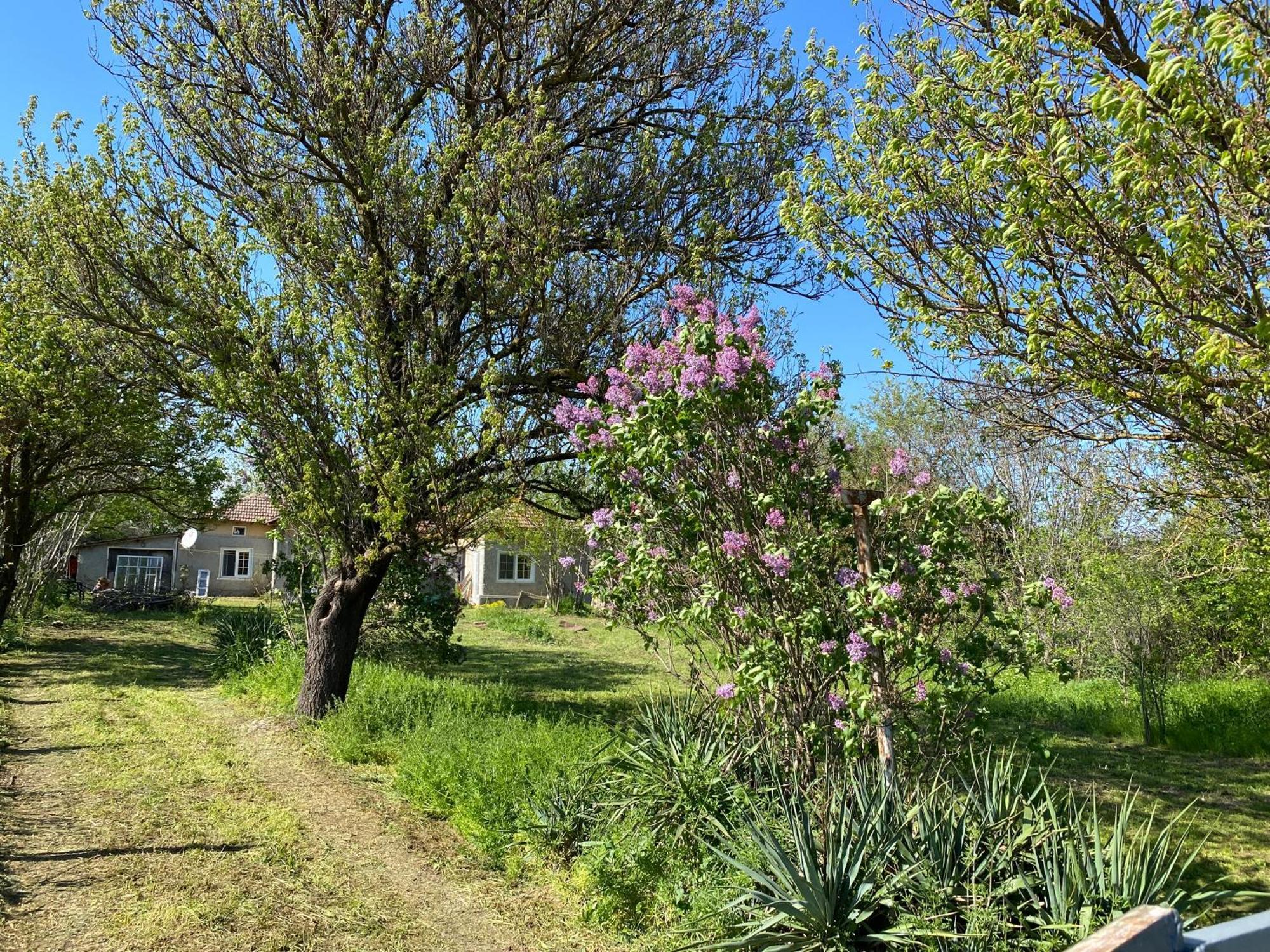 Ferienhaus Primorska Sunshine In Strandnaehe Шабла Экстерьер фото